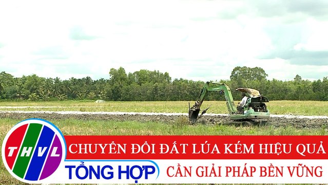 Nông nghiệp bền vững: Chuyển đổi đất lúa kém hiệu quả - Cần giải pháp bền vững