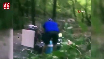 Kampçıların üzerine ağaç devrildi: 1'i ağır 4 yaralı