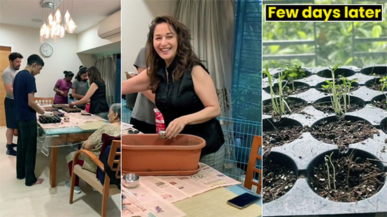 Madhuri Dixit Sets Up Kitchen Garden With Family