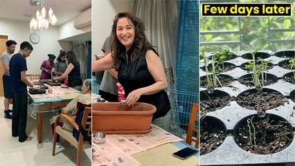 Watch: Madhuri Dixit Sets Up Kitchen Garden With Family