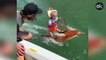 Instagram: Duras críticas a los padres del bebé de 6 meses que hace esquí acuático por primera vez