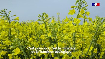 CarbuRe : optimiser la gestion des flux de biocarburant