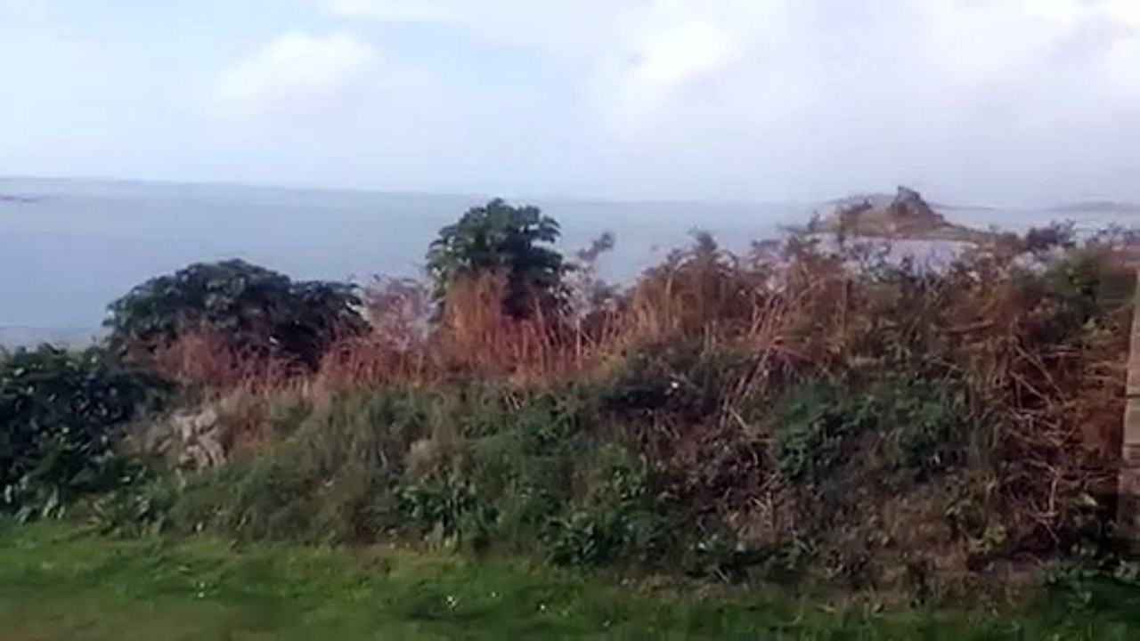 Porthloo