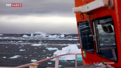 "Gezegenin Kara Kutusu: Antarktika" belgeseli ilk kez TRT'de yayınlanacak