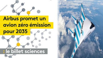 Airbus annonce un avion à hydrogène dans quinze ans