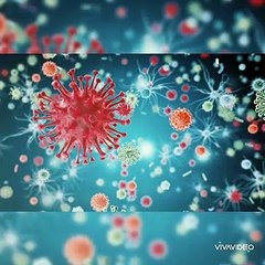 ஆமா Corona virus na என்ன