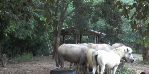 เรื่องพลบค่ำ (ช่วง 1) วันจันทร์ 21 กันยายน 2563