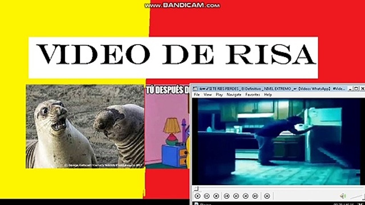 VIDEOS DE RISA 2020  | Nuevos y mas divertidos videos Videos Graciosos 2020 01