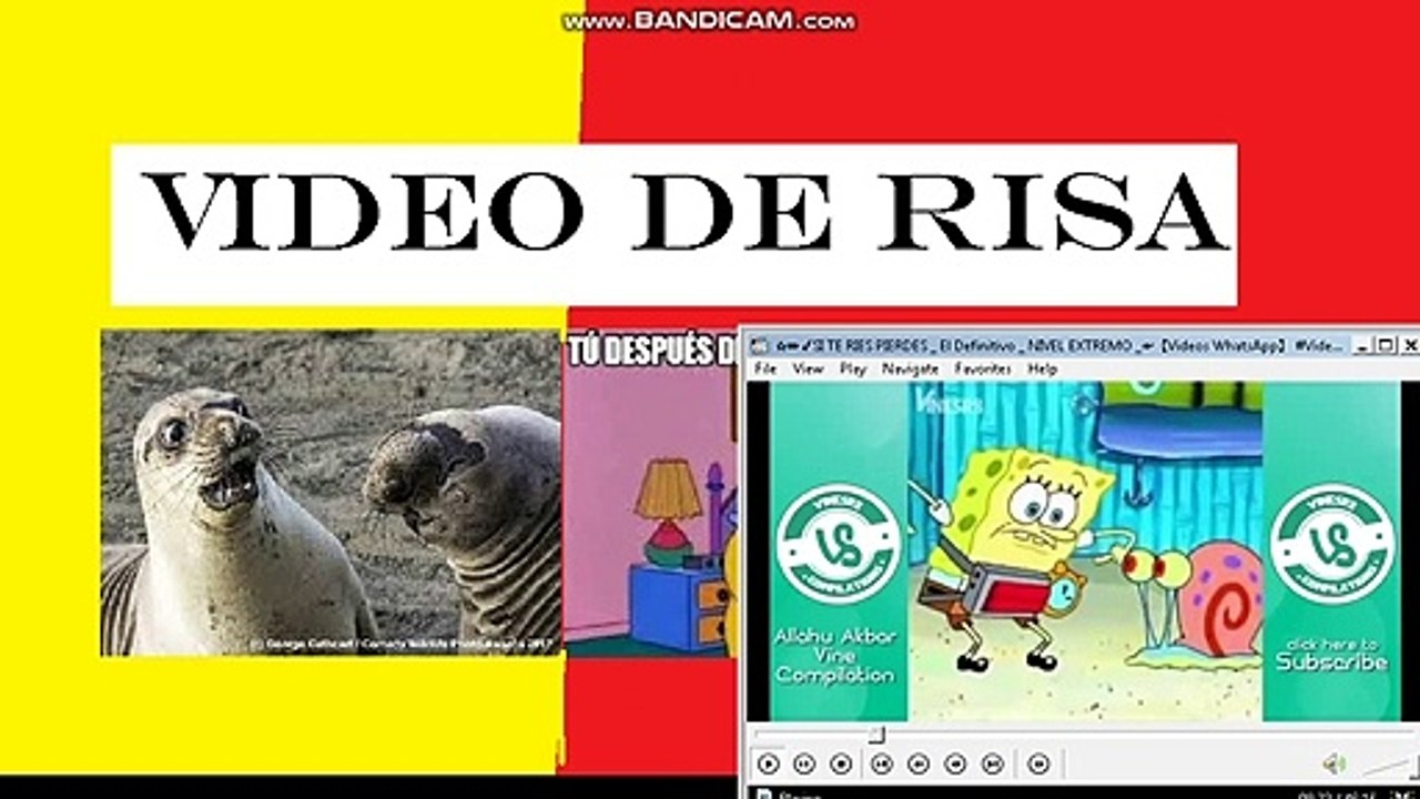 VIDEOS DE RISA 2020  | Nuevos y mas divertidos videos Videos Graciosos 2020 02