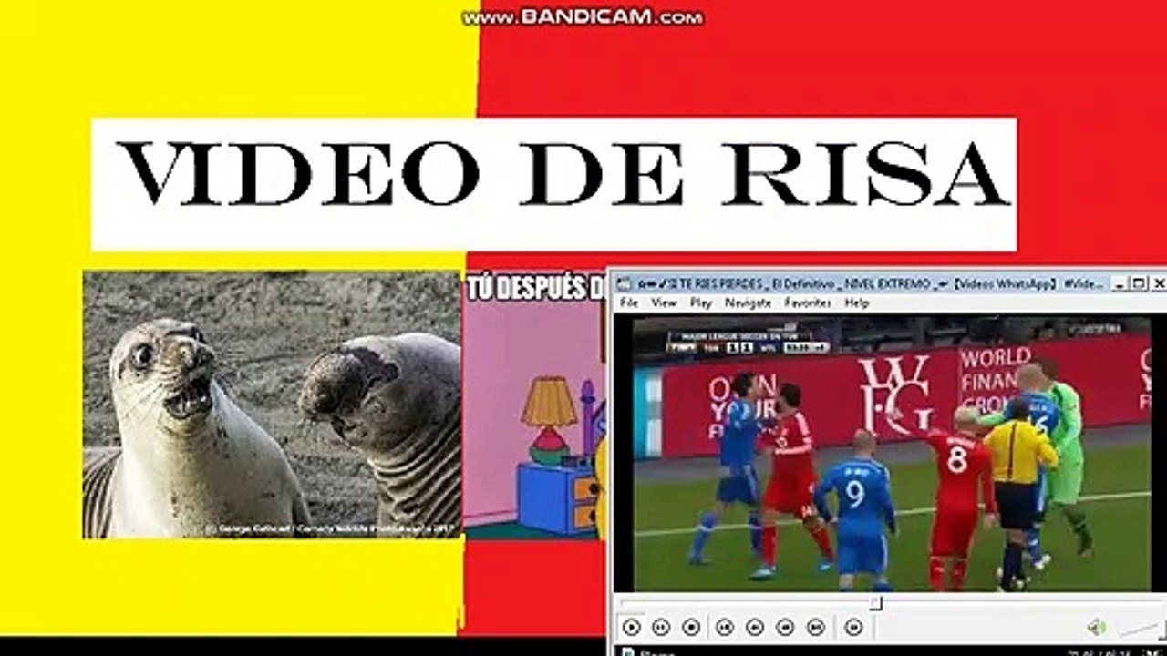 VIDEOS DE RISA 2020  | Nuevos y mas divertidos videos Videos Graciosos 2020 04