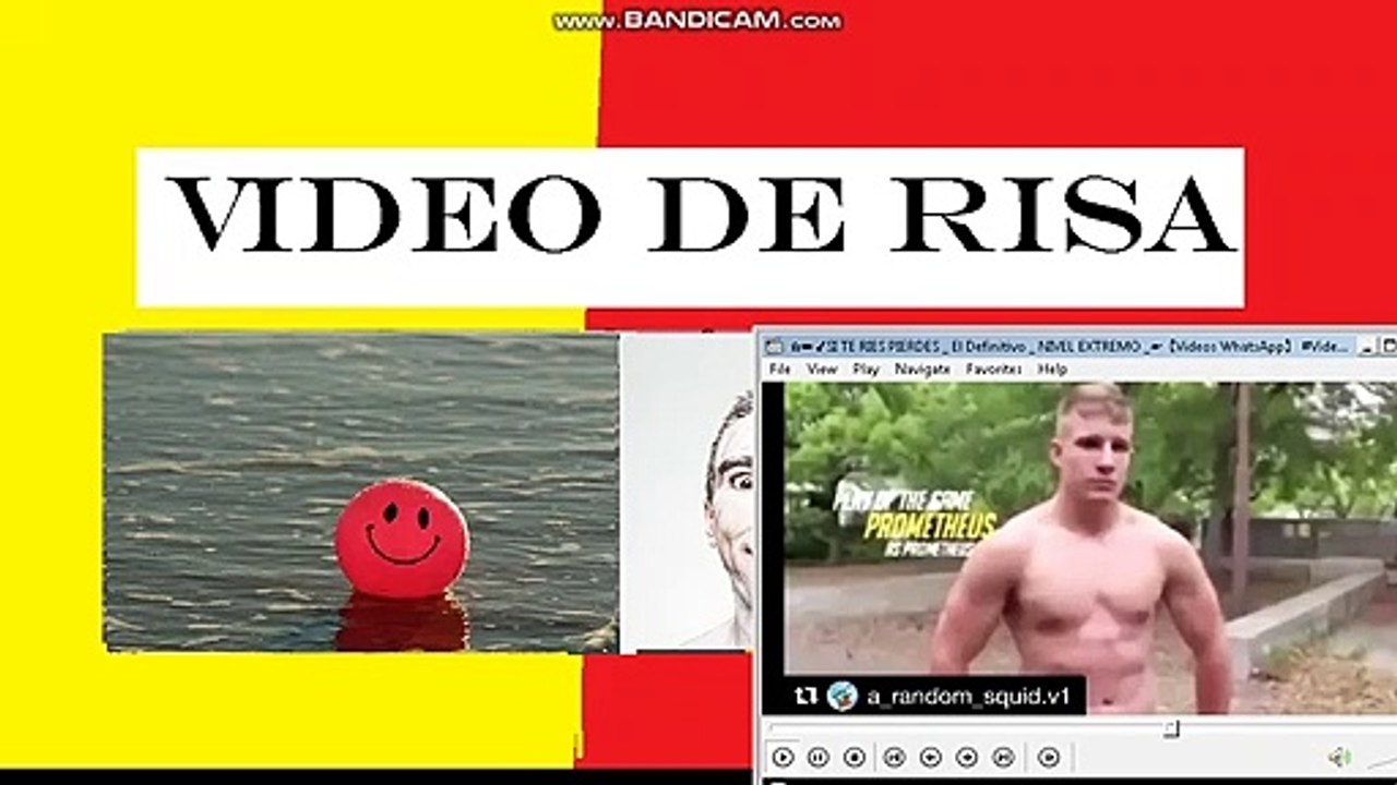 VIDEOS DE RISA 2020  | Nuevos y mas divertidos videos Videos Graciosos 2020 05