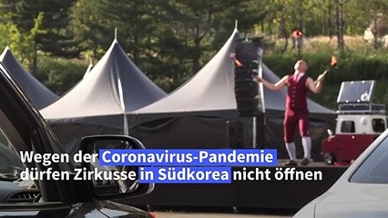 Mit dem Auto in den Zirkus