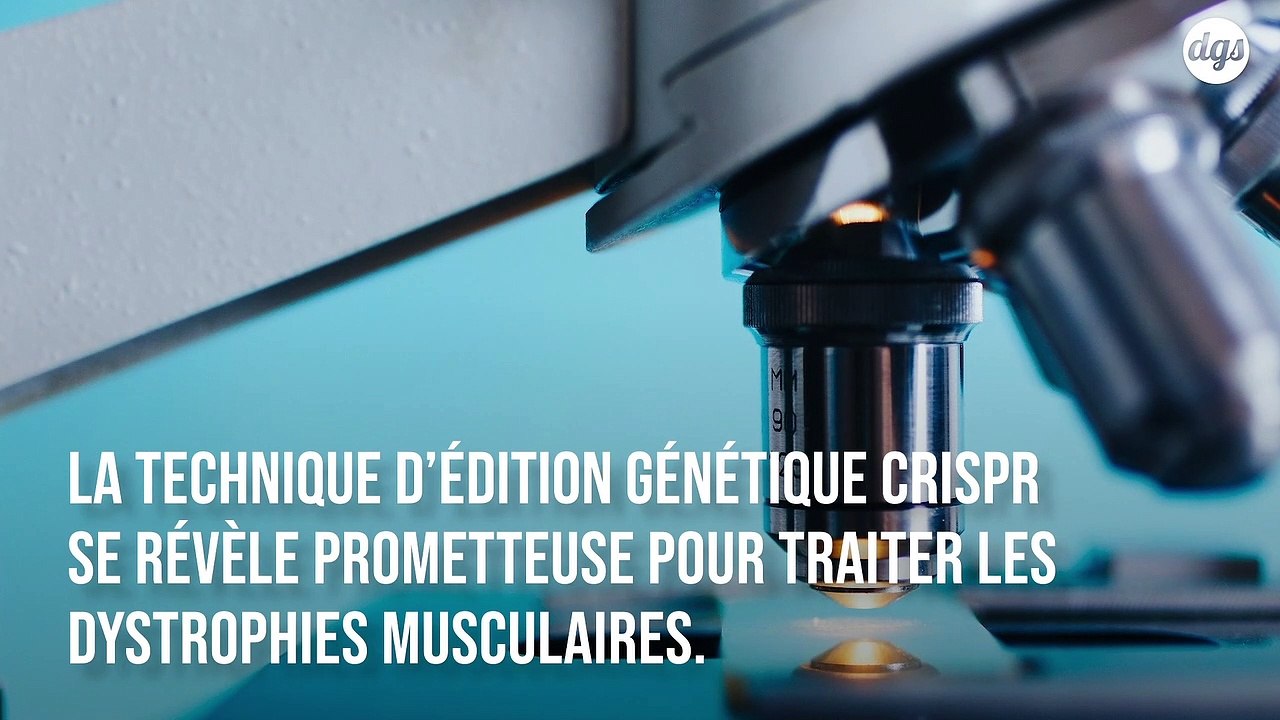 Édition génétique : une nouvelle approche prometteuse pour traiter les dystrophies musculaires