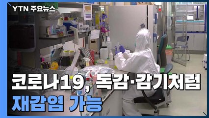 "코로나19, 독감·감기처럼 재감염 가능" / YTN