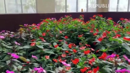 Surga Tanaman Hias di Balit-hi Cianjur