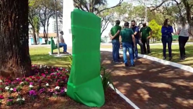 Ipê Amarelo é escolhido como árvore símbolo de Cascavel