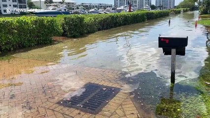 Coastal waters flood residential areas during exceptional high tide in southern Florida