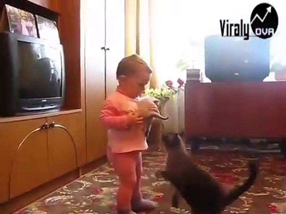 Mama Cat Takes Back Crying Kitten From Tod