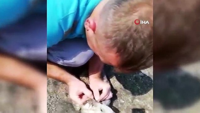 Ağzına olta takılan martıyı Edremit Belediyesi personeli kurtardı