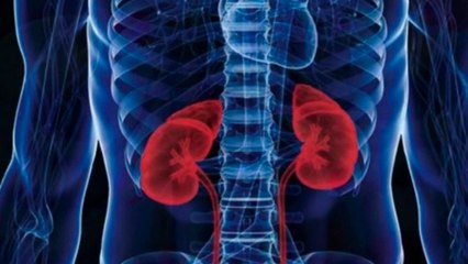 bd-hablamos-de-insuficiencia-renal-210920