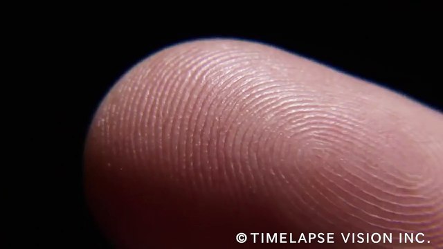 Regardez de très près les lignes des doigts dans cette vidéo