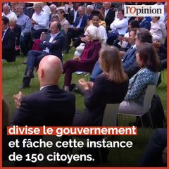 Taxe sur le secteur aérien: après la 5G, nouveau revers pour la convention citoyenne