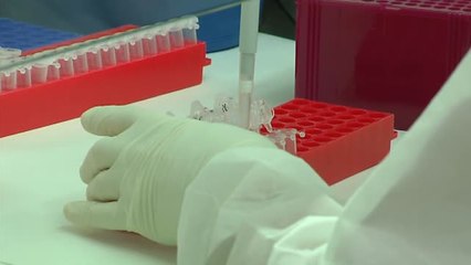 Pruebas PCR en menos de dos horas