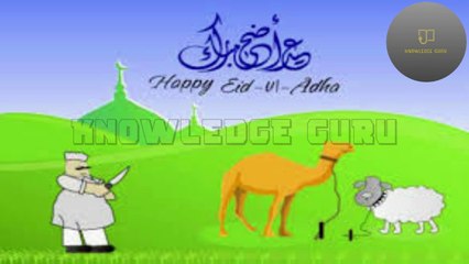 Why we Celebrate Eid-ul-Adha | Brief History | Must Watch.