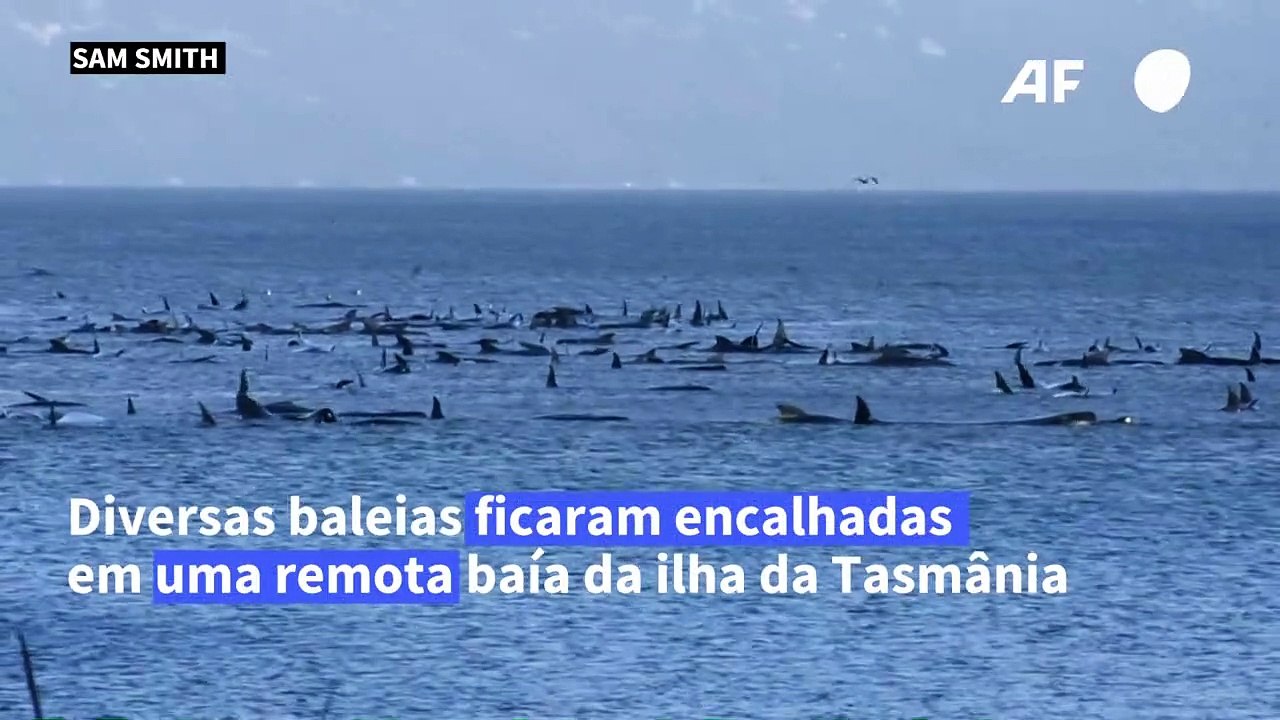 Tensão no mar