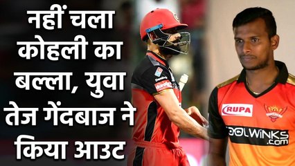 IPL 2020 RCB vs SRH: Virat Kohli falls cheaply, T Natarajan strikes for SRH | Oneindia Sports