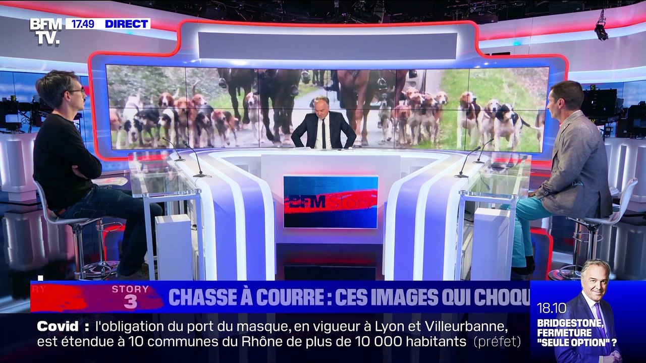 Story 3 : Ces images de chasse à courre qui choquent - 21/09