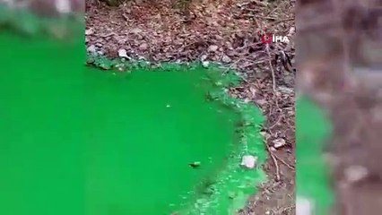 Baraj gölünün rengi yeşile döndü