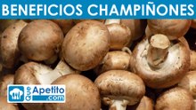 8 Propiedades y Beneficios de los Champiñones | QueApetito