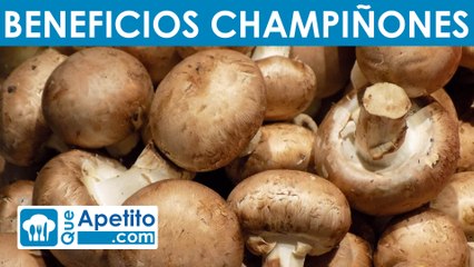 8 Propiedades y Beneficios de los Champiñones | QueApetito