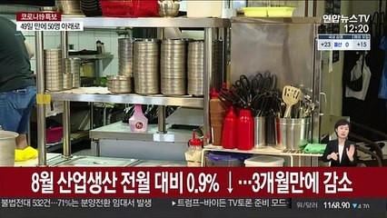 8월 산업생산 0.9%↓…코로나 재확산에 또 위축