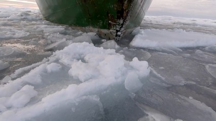Casquete polar ártico en su segundo nivel más bajo desde que hay registro