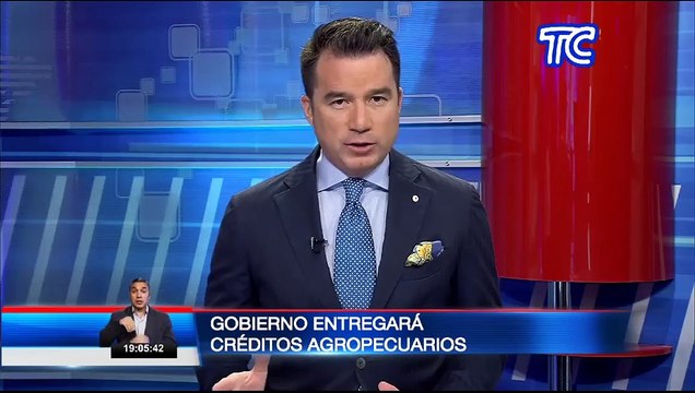 El Gobierno Nacional entregará créditos a las personas dedicadas al sector agropecuario en Chimborazo. La vicepresidenta María Alejandra Muñoz visitó los sectores afectados por la caída de ceniza.