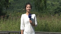 [날씨] 오늘 '추분', 쾌청하고 선선...큰 일교차 / YTN