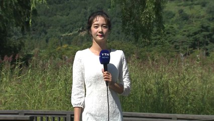 [날씨] 오늘 '추분', 쾌청하고 선선...큰 일교차 / YTN