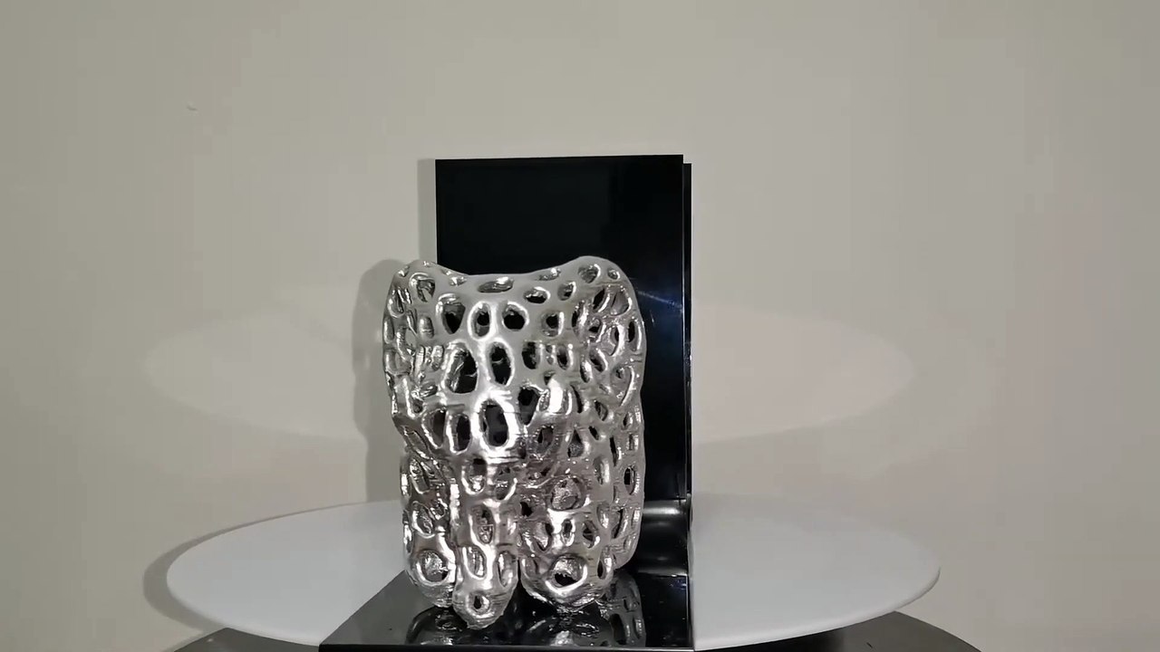 SOEN Voronoi Fil Raf Üstü Kitap Tutucu