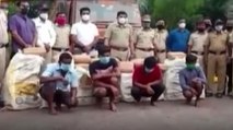 Pune: Police seize 312kg of marijuana, 3 arrested