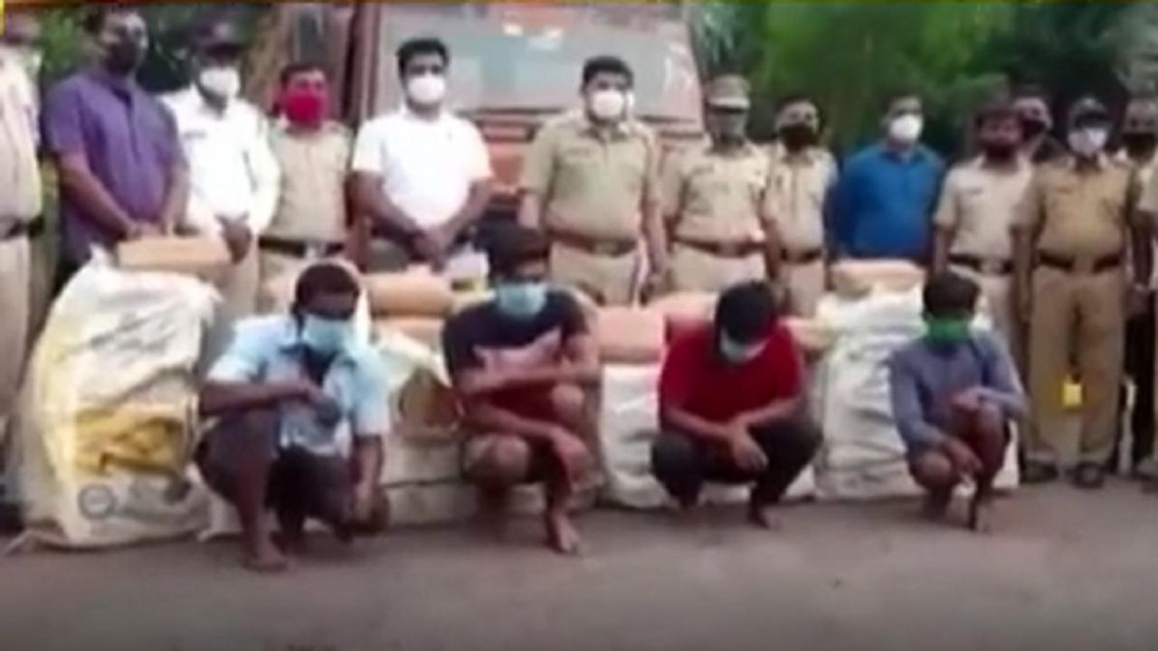 Pune: Police seize 312kg of marijuana, 3 arrested