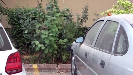 Komşularını ölü bulan vatandaşlar şok oldu