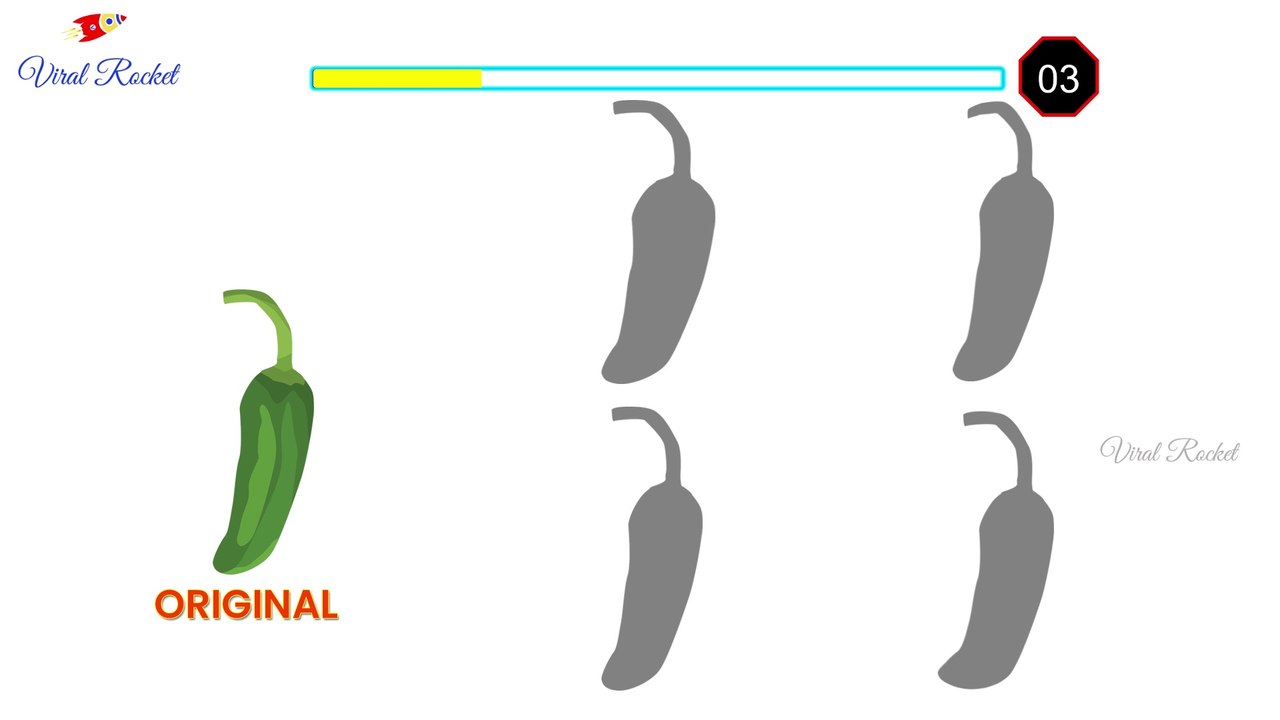 Find the Correct Shadow | Puzzle Time # 70 | Match the Right Shadow | Shadow Puzzles | Viral Rocket