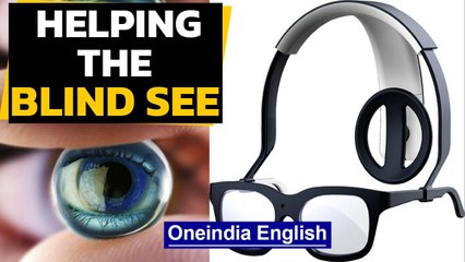 Prosthetic 'eye' that can help the blind 'see' | Oneindia News