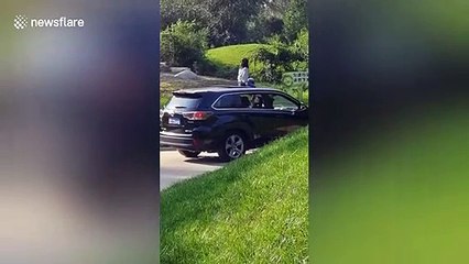 Girl sits on top of car while it moves in Beijing Safari Park