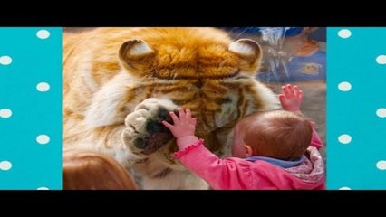 Cute Babies Cuddling Animals