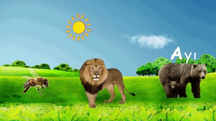 Cici Dostlar - ABC Harfler A | Eğitici Çizgi Film Animasyon | AlFaBe