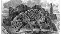 Monstruos de la historia: el hombre lobo