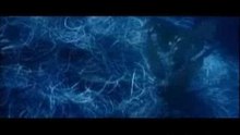 Jaws 1975 Movie Trailer Film